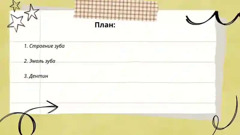 Введение в анатомию зуба 2