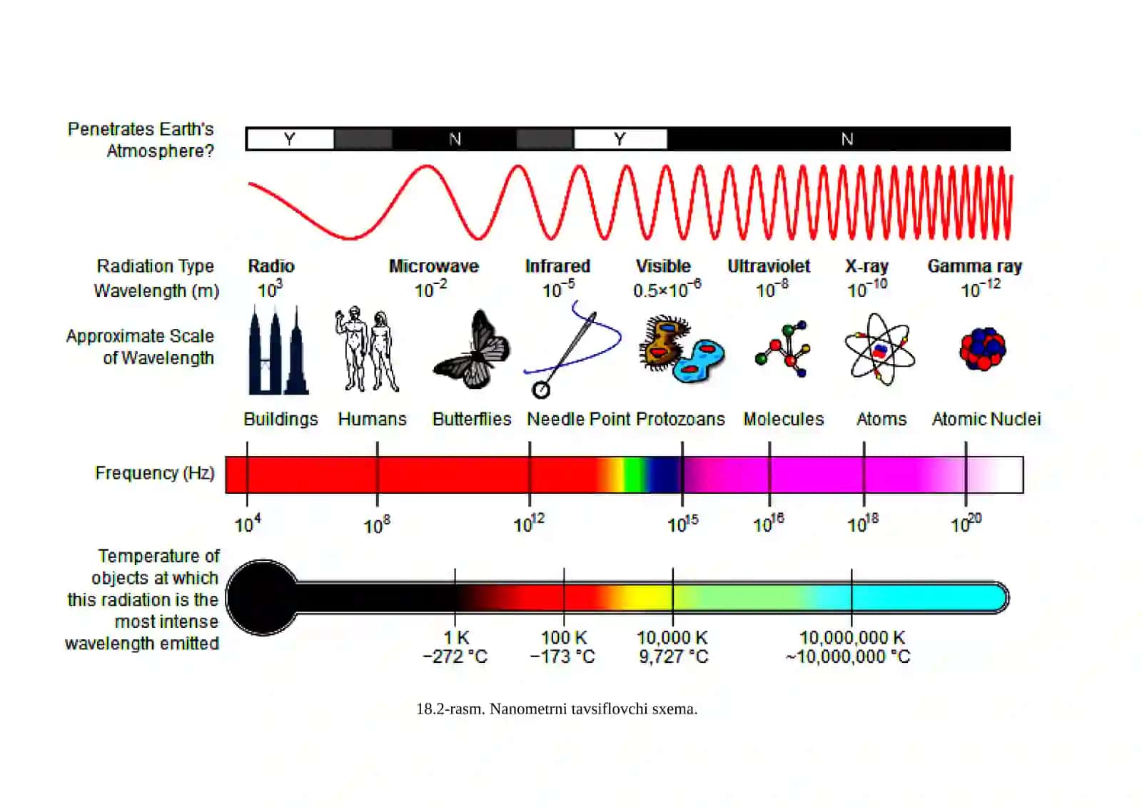 Nanotexnologiya 2