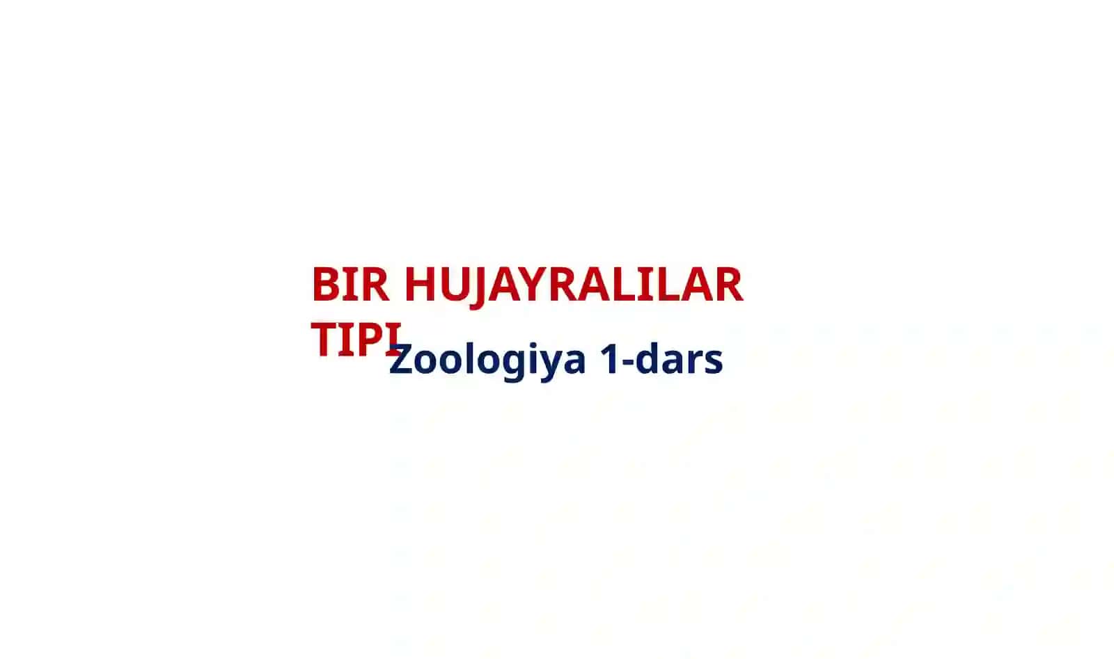UPGRADE ZOOLOGIYA 2