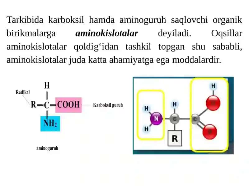 Aminokislotalar, peptidlar va oqsillar 2