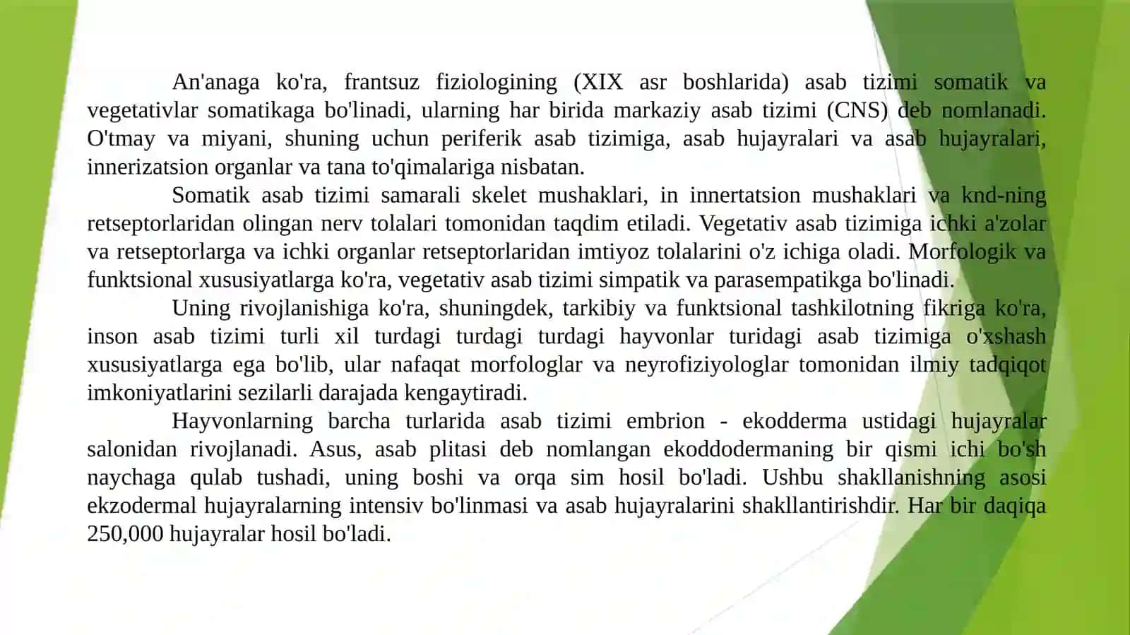 NervtizimiNeyrontarmoqlari 2