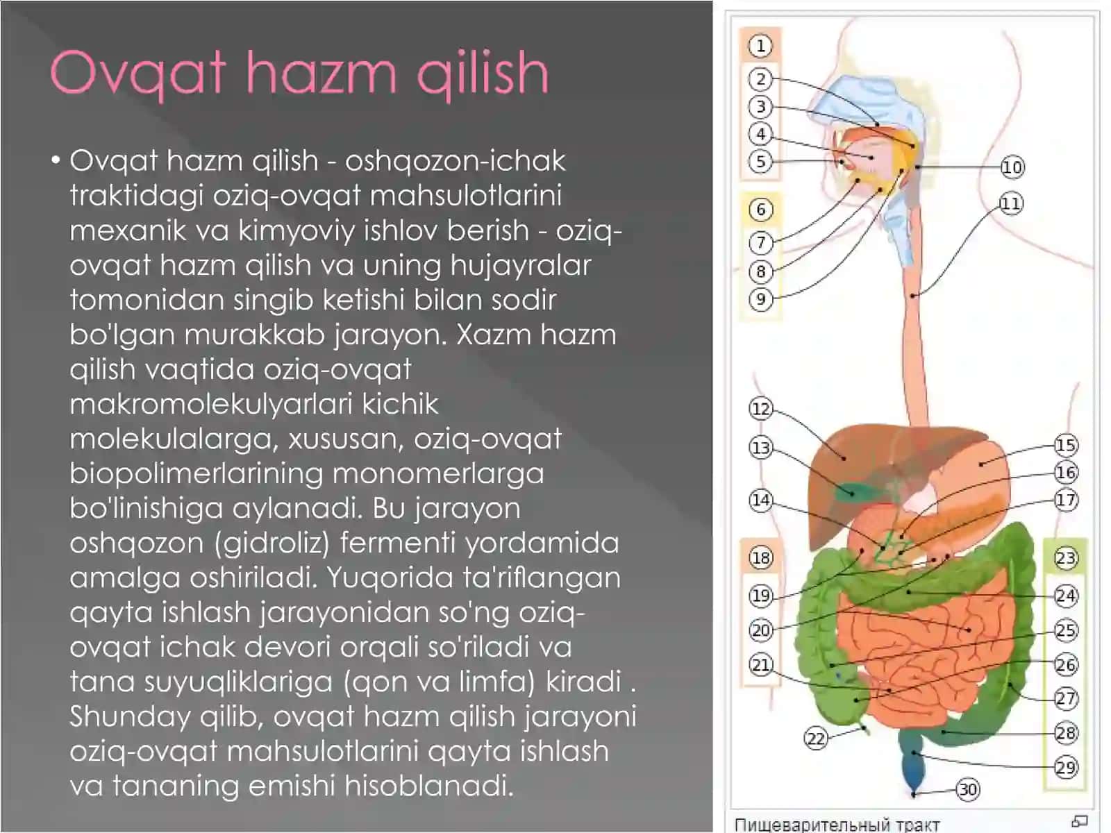OVQAT HAZM QILISH SISTEMASI 2