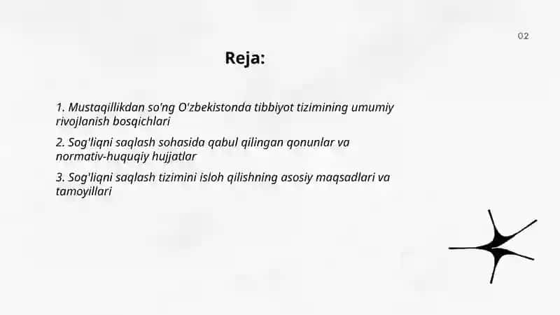 Toraxonova Muxtabar 2