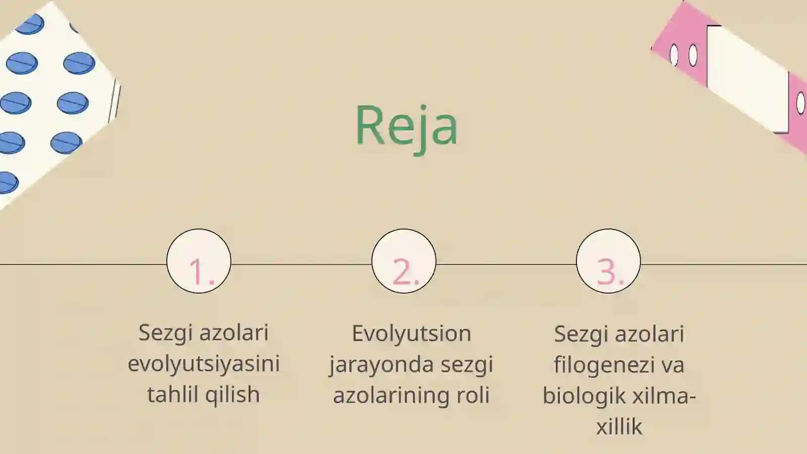 Sezgi azolari filogenezi 2