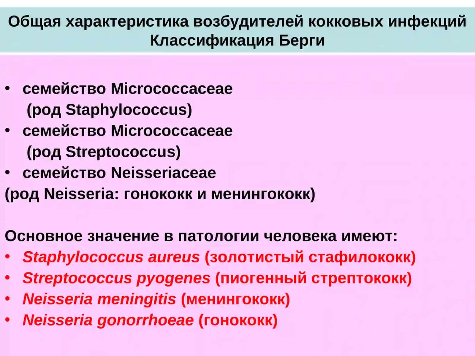 Возбудители гнойно-воспалительных заболеванийПатогенные кокки 2