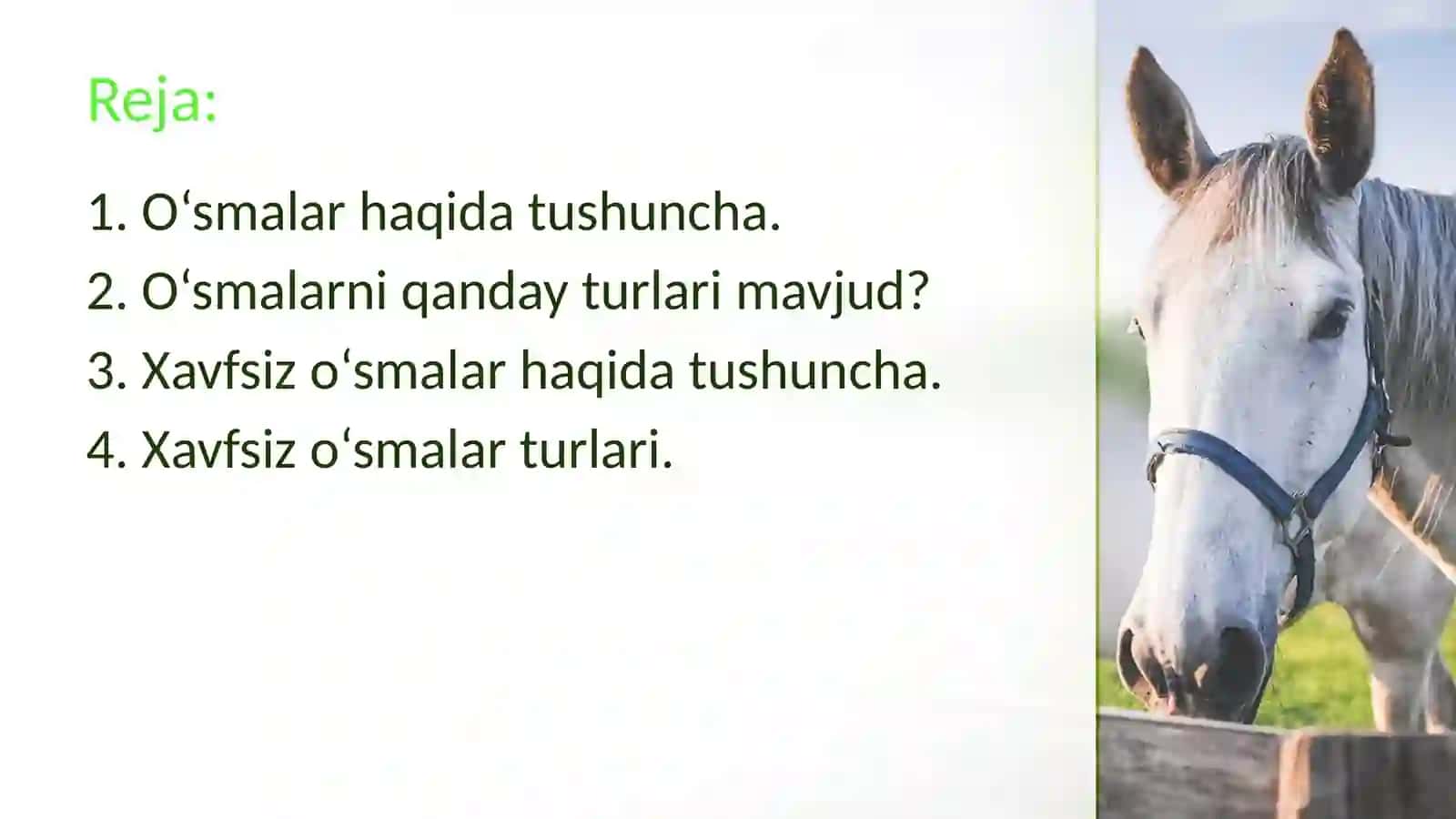 Xavfsiz o‘smalar (Taqdimot) 2