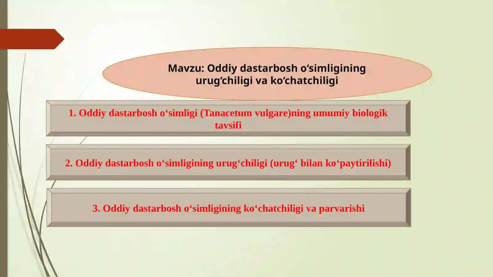 Oddiy dastarbosh o‘simligi 2