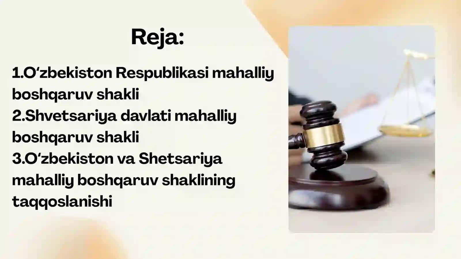 Mahalliy boshqaruv shakllari 2
