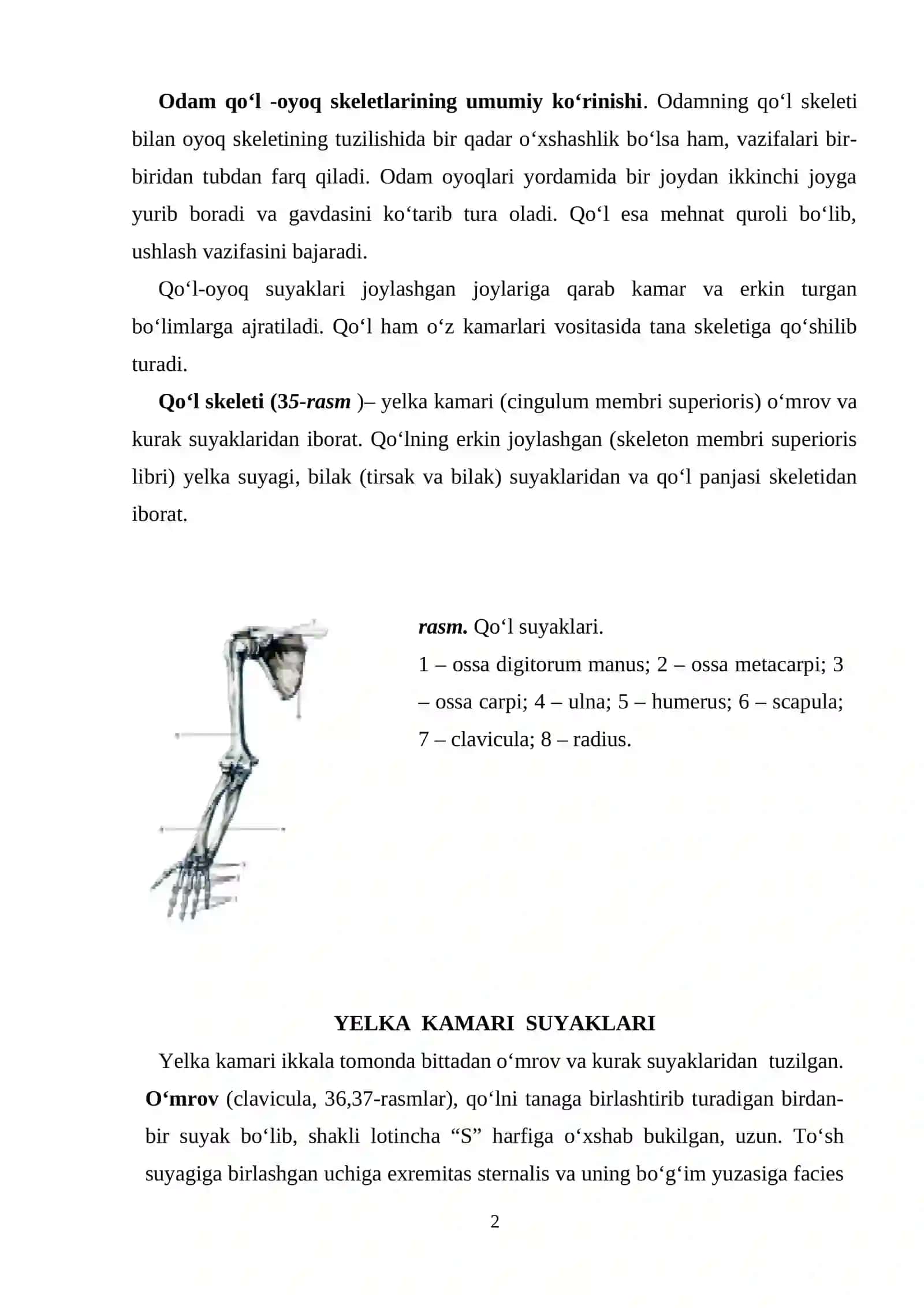 Qo‘l suyaklari 2