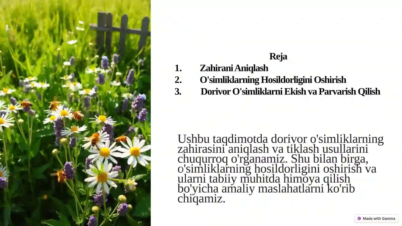 Dorivor O'simliklarning Zahirasini Aniqlash va Tiklash Usullari 2