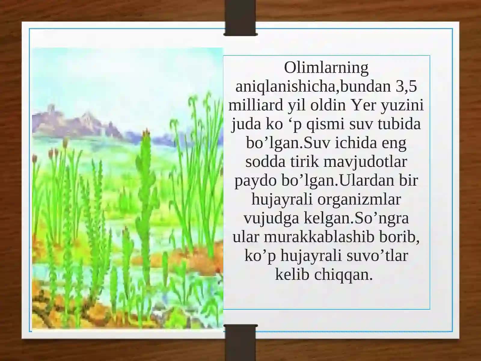 Yerda o’simliklar dunyosining rivojlanishi 2
