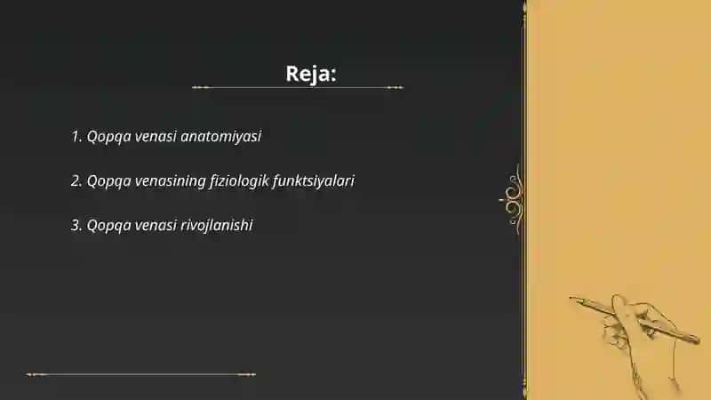 Qopqa venasi anatomiyasi 2