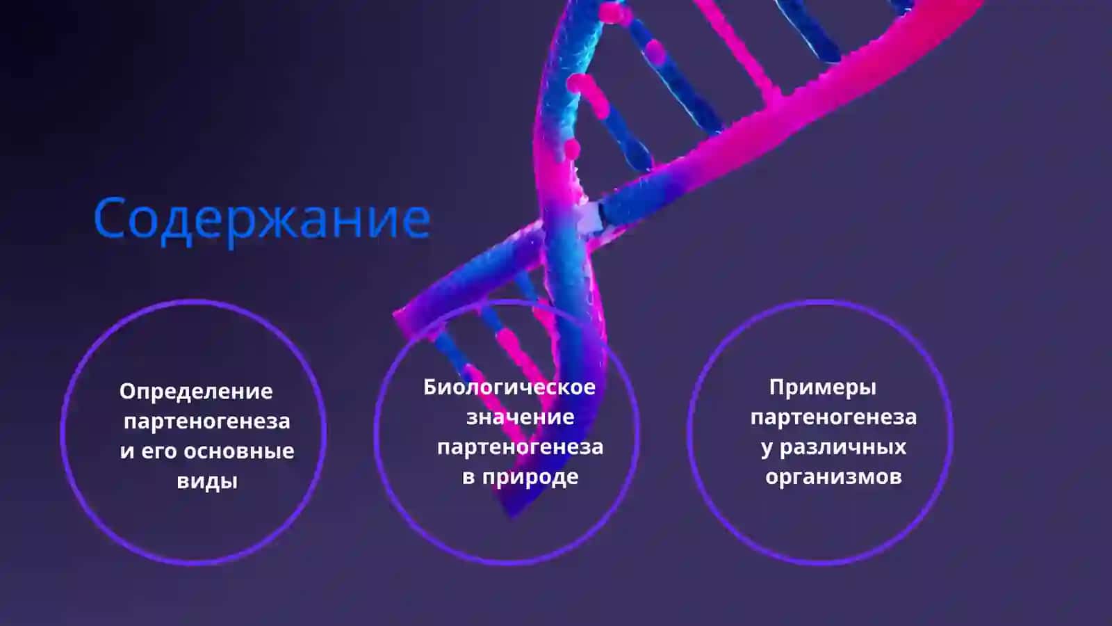 Партеногенез и его виды 2