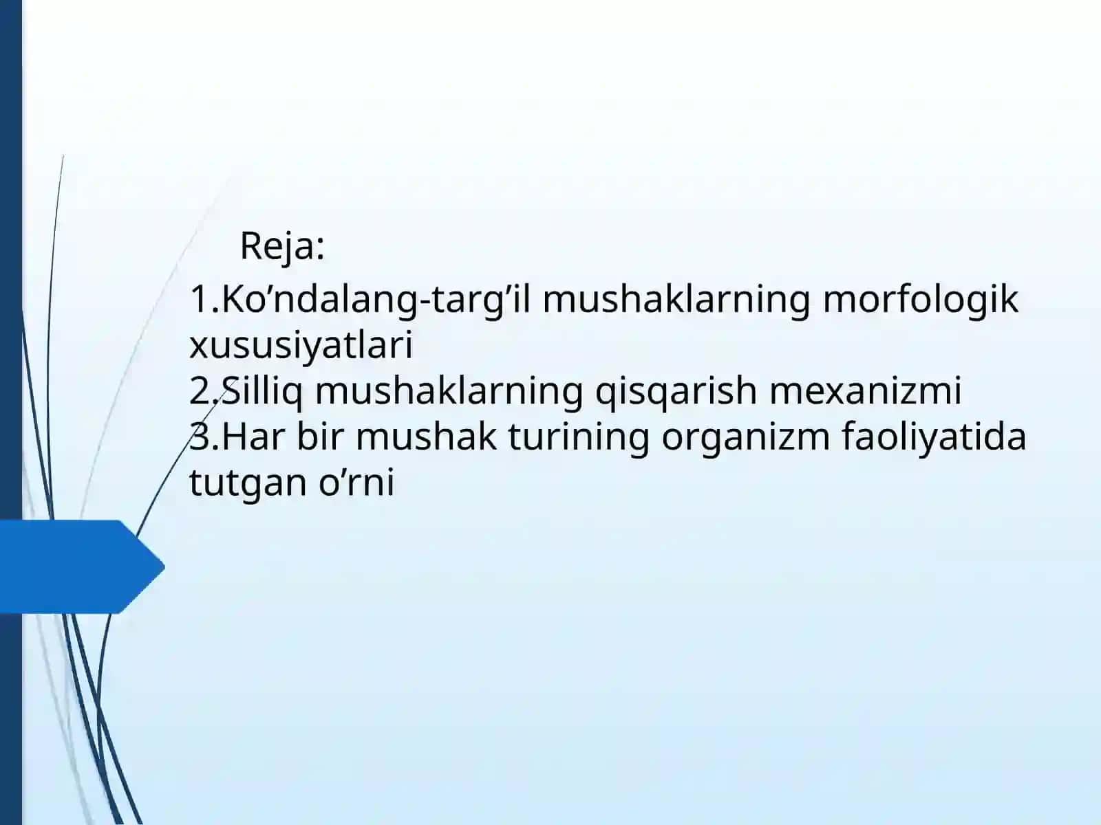 Ko’ndalang-targ’ilmushaklarningmorfologikxususiyatlari 2