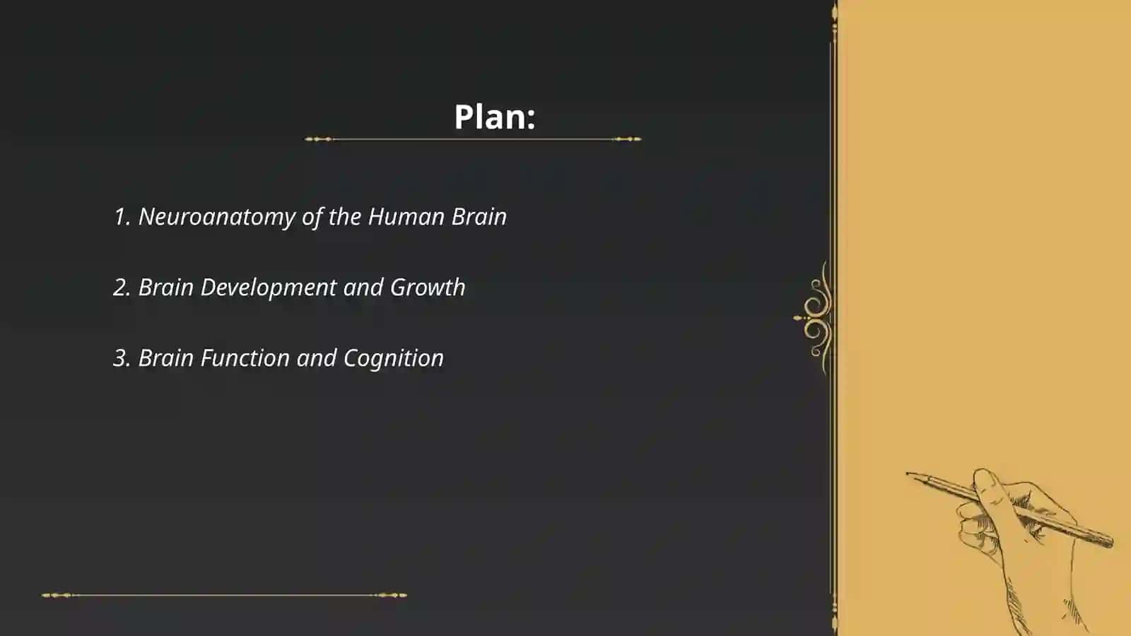 Human brain 2