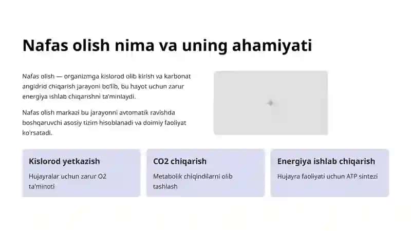 Nafas olish markazi anatomiyasi 2