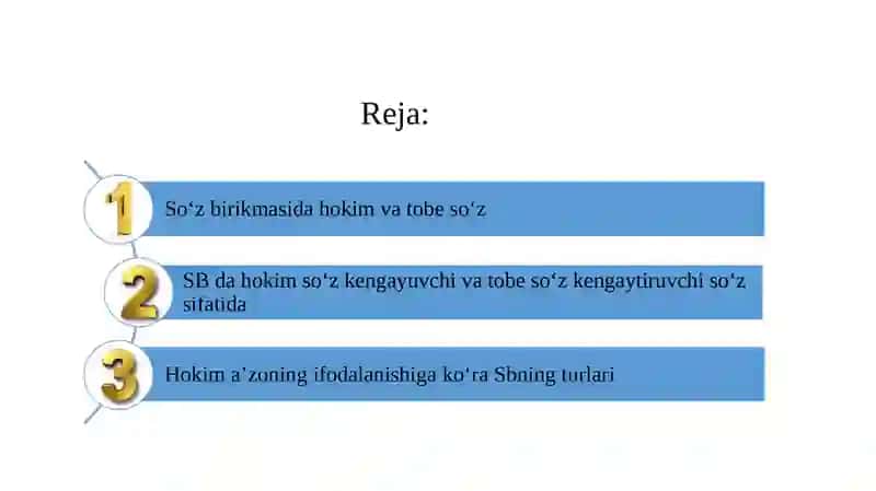 Hokim a’zoning ifodalanishiga ko‘ra Sbning turlari 2