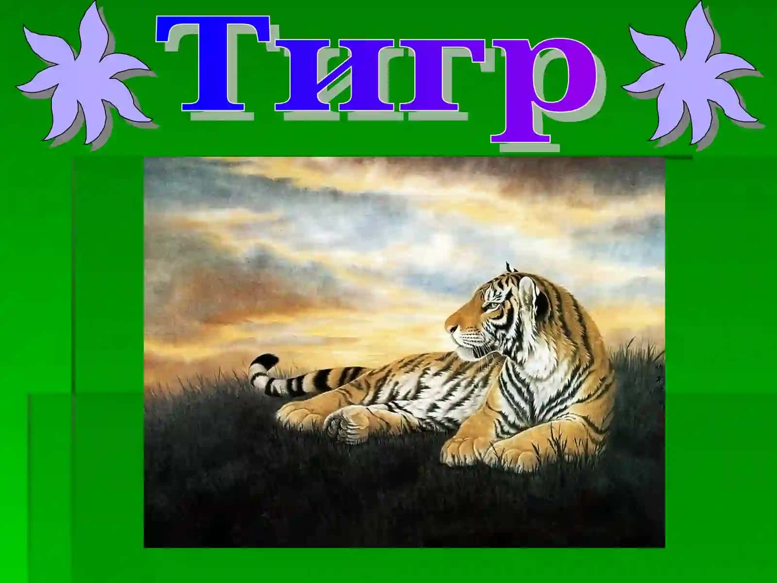 Тигр, Тигрёнок, Лев, Рысь 2