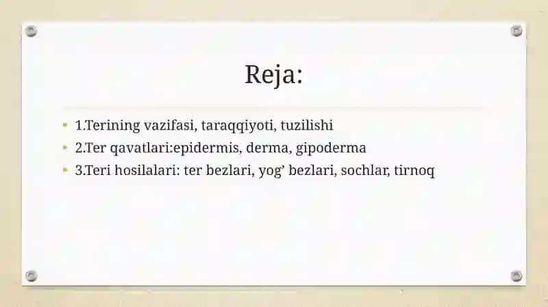 Teri va uning hosilalari 2