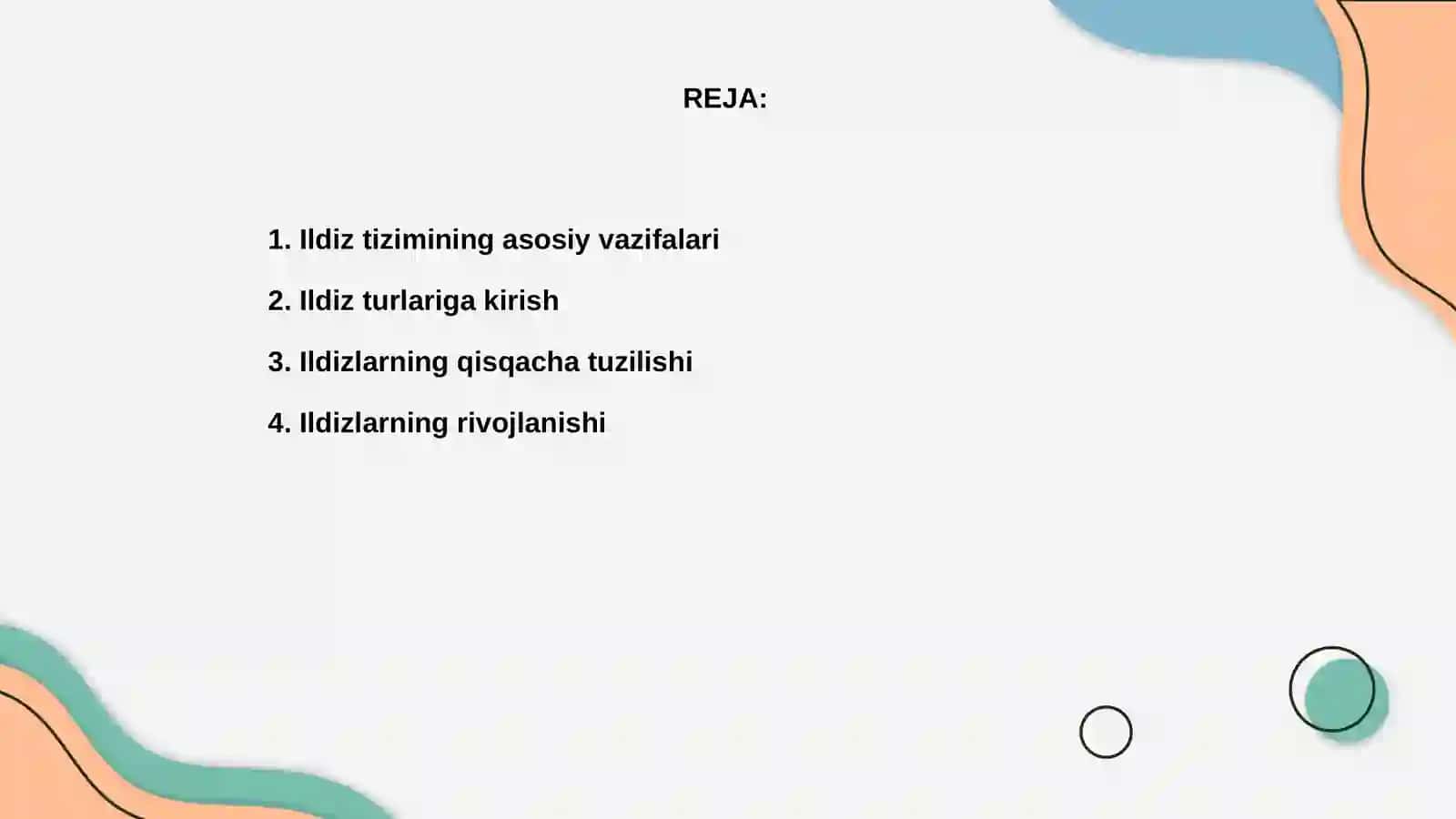 Ildiz tizimi 2