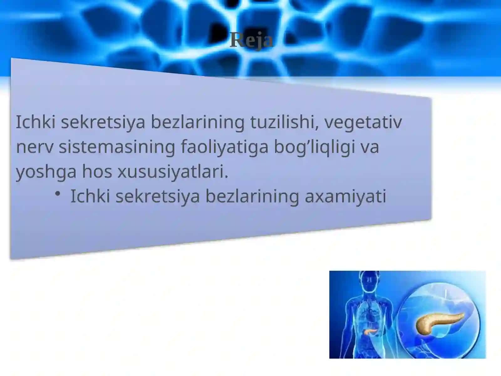 Ichki sekretsiya bezlarining yoshga hos xususiyatlari 2