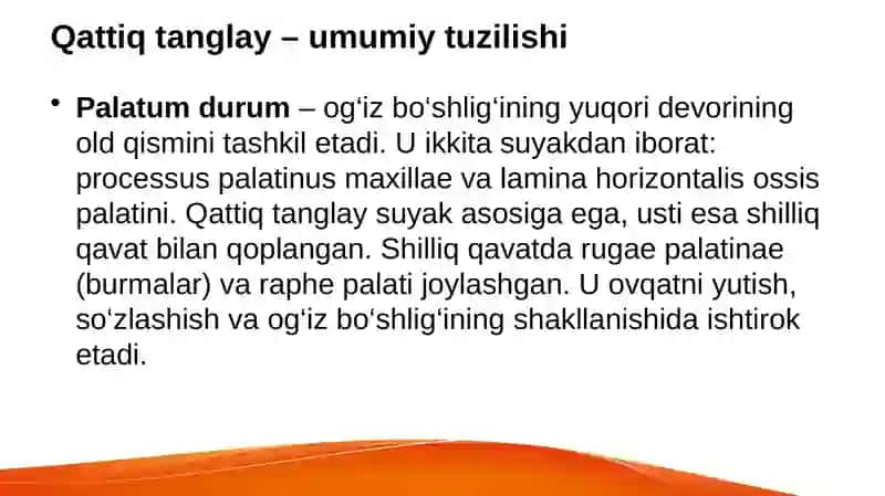 Qattiq va yumshoq tanglay. So'lak bezlari 2