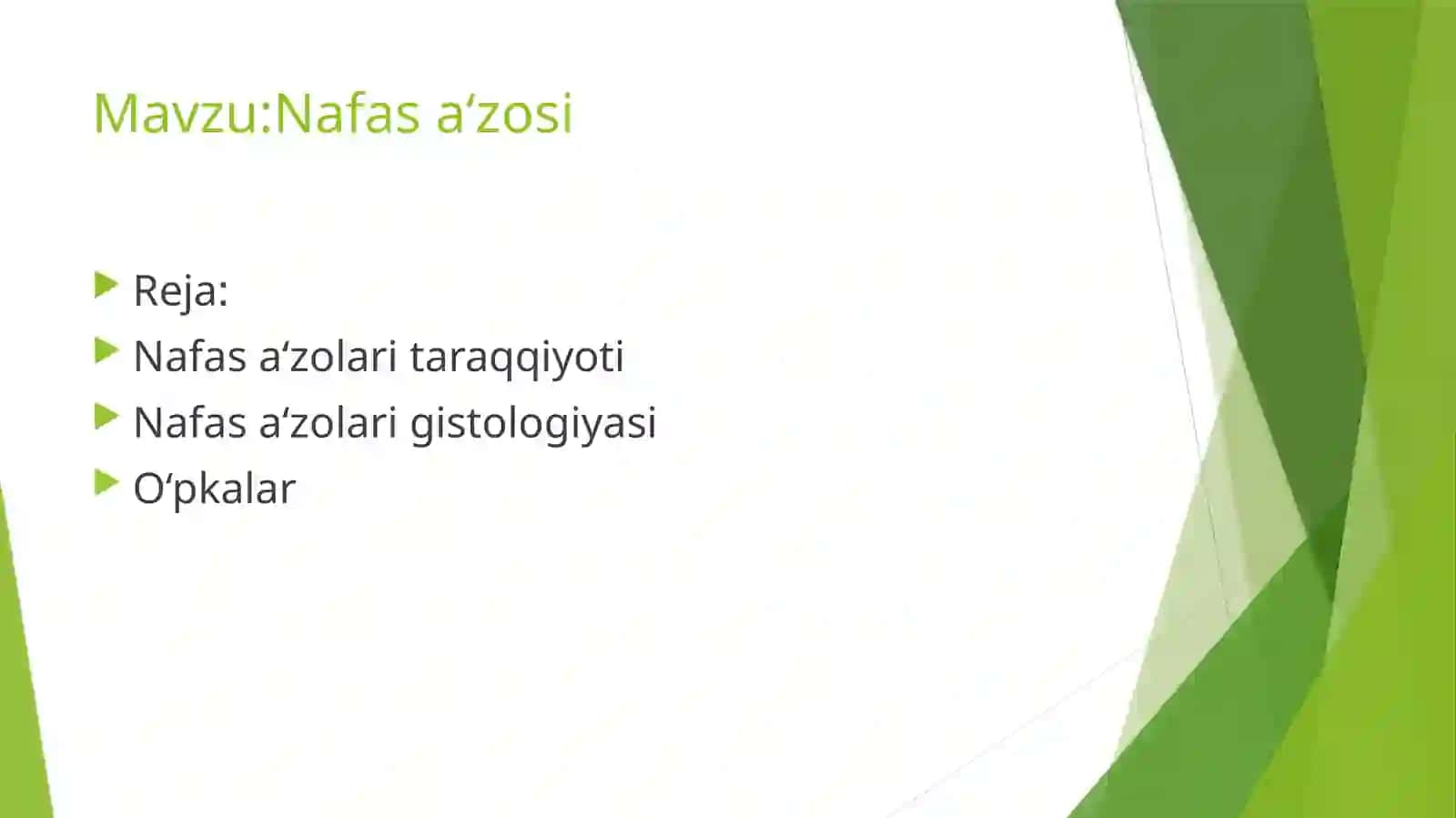 Nafasa‘zosi 2