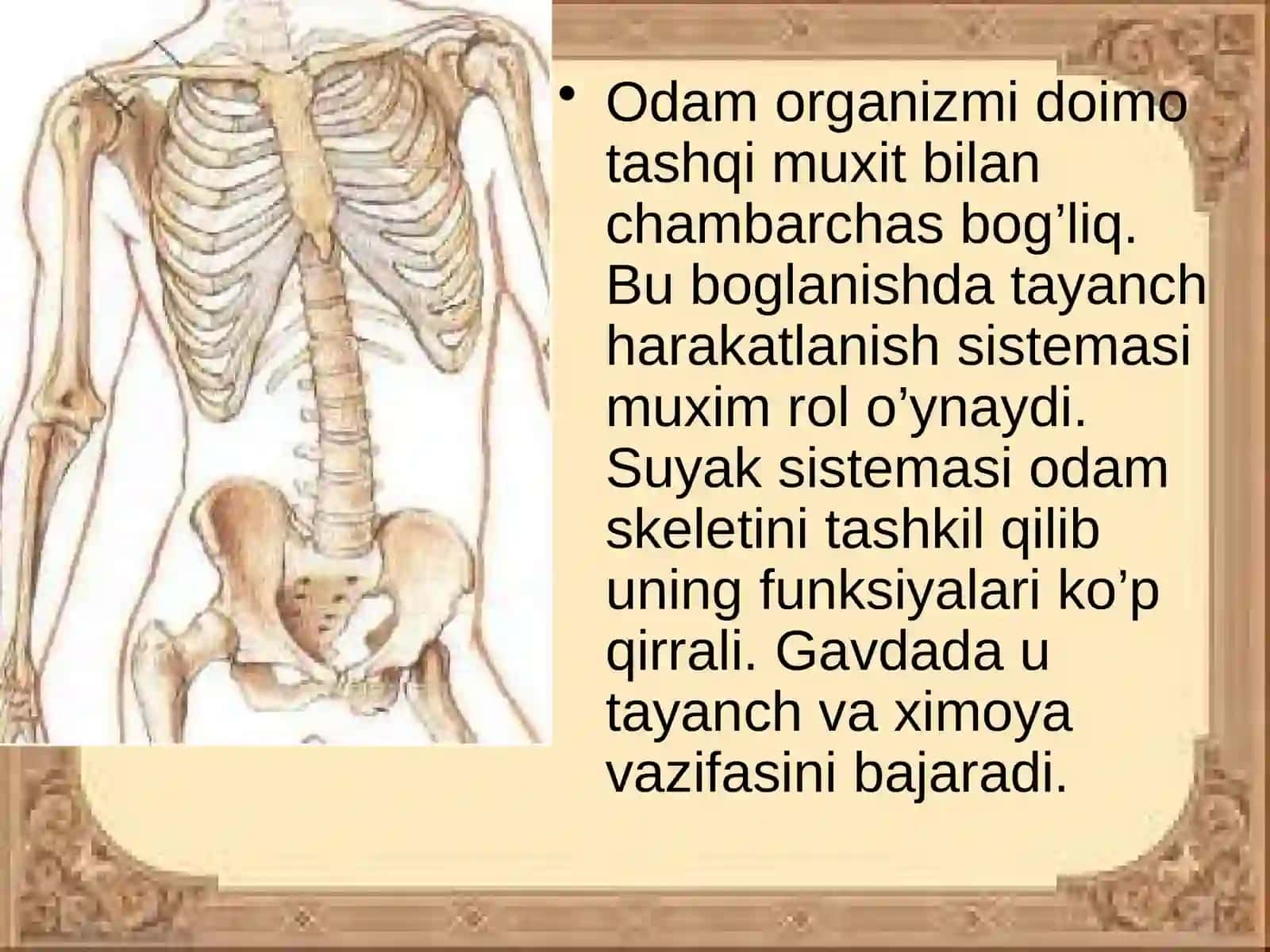 SUYAKLAR TUZILISHI 2