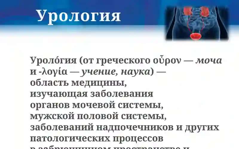 Урология 2