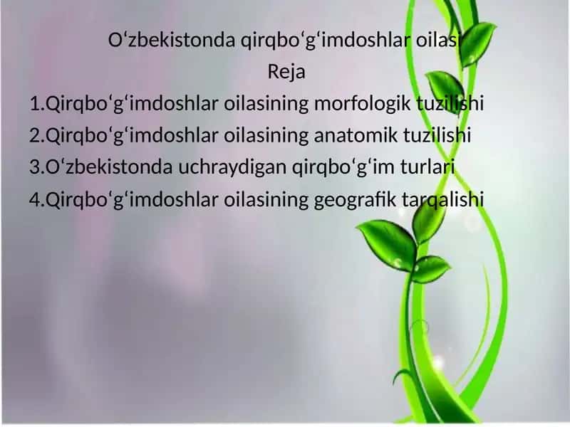 Qirqbo‘g‘imdoshlar oilasi 2