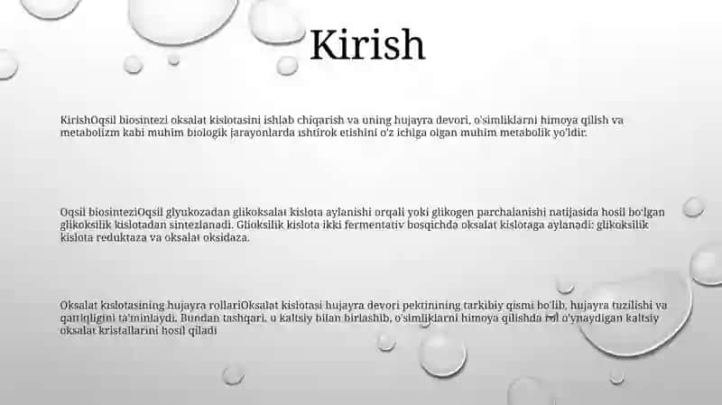 Oqsil Biosintezi 2
