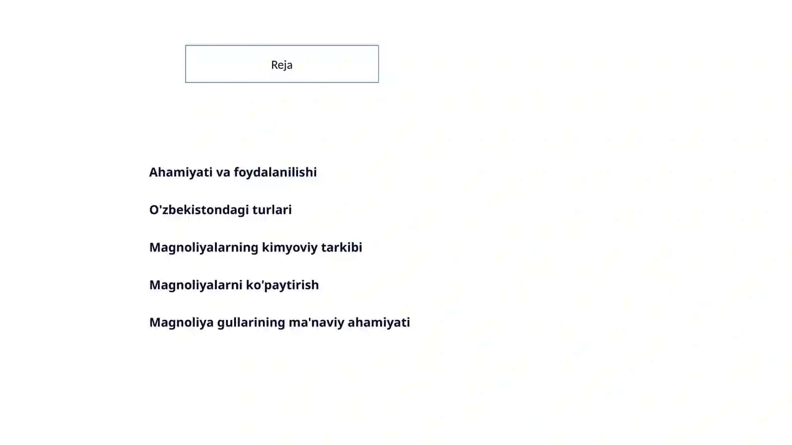 Magnoliya gulilar qabilyasi 2