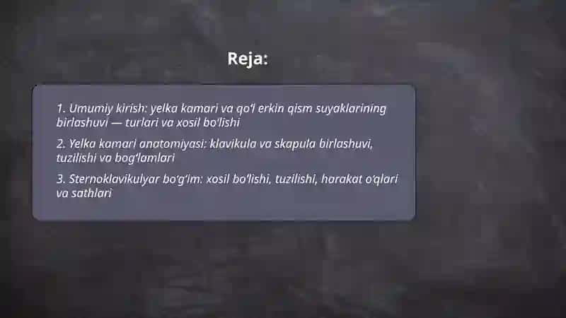 Tanadagi katta bo‘g‘imlar anatomiyasi 2
