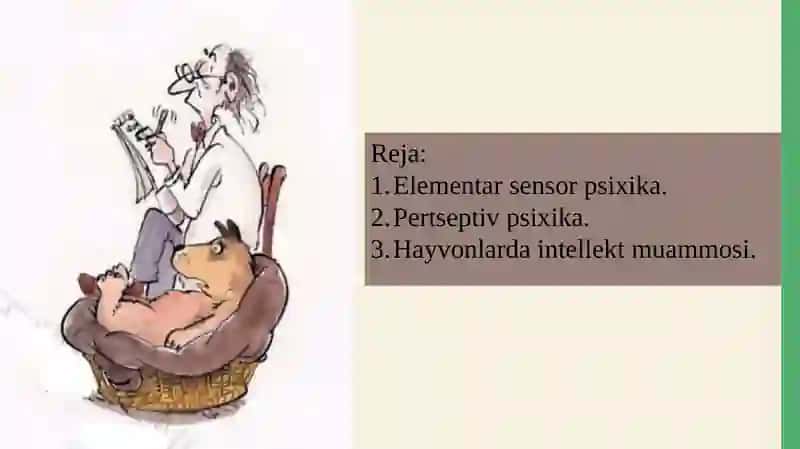 HAYVONOT OLAMIDA PSIXIK FUNKSIYALAR EVOLYUTSIYASI 2