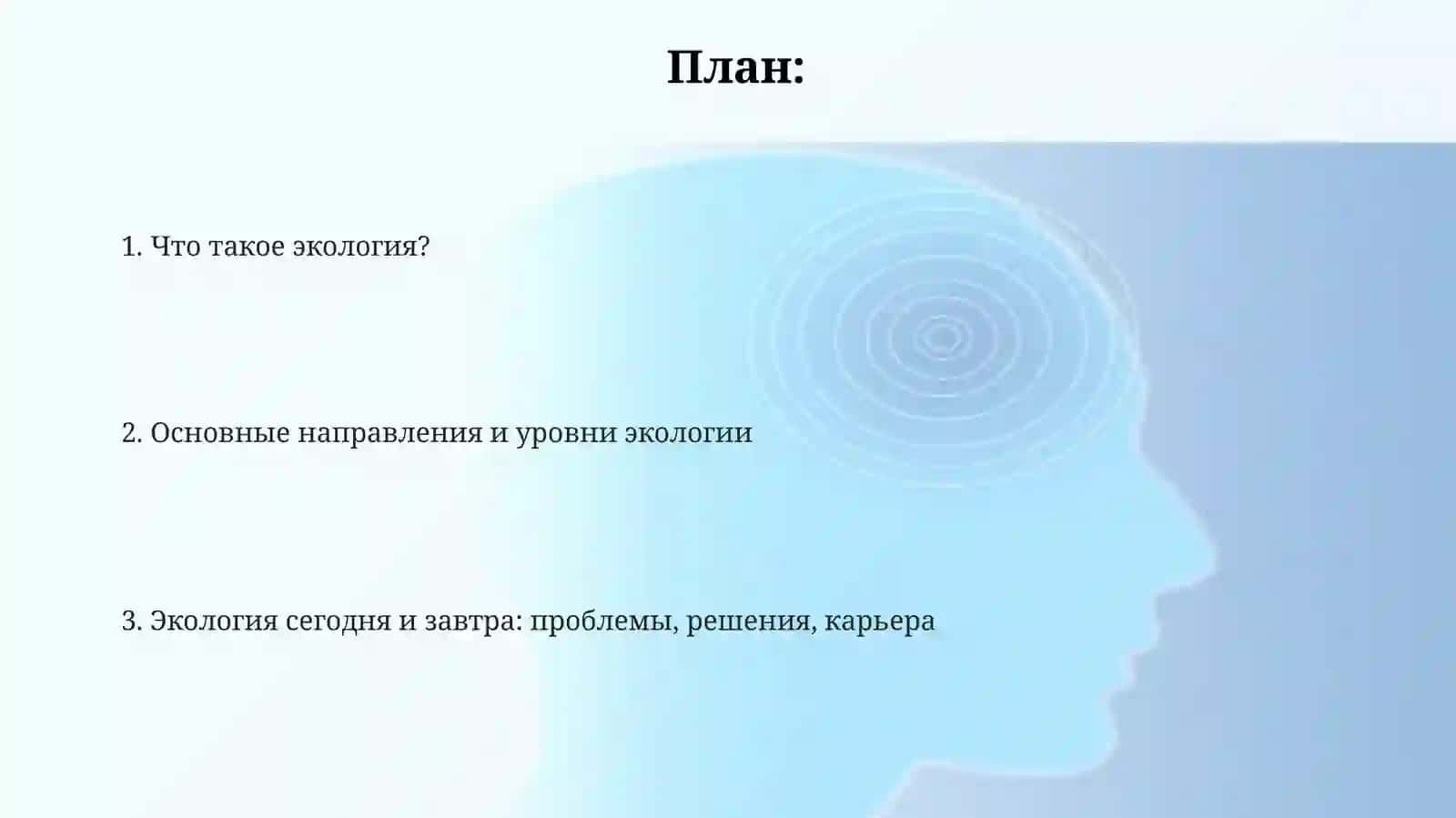 Презентация 2