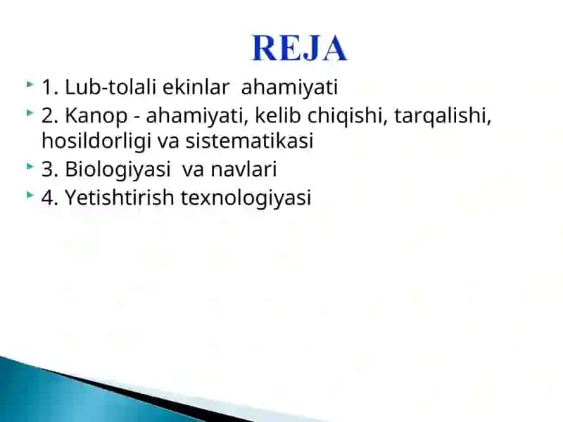 Lub-tolali ekinlar ahamiyati 2