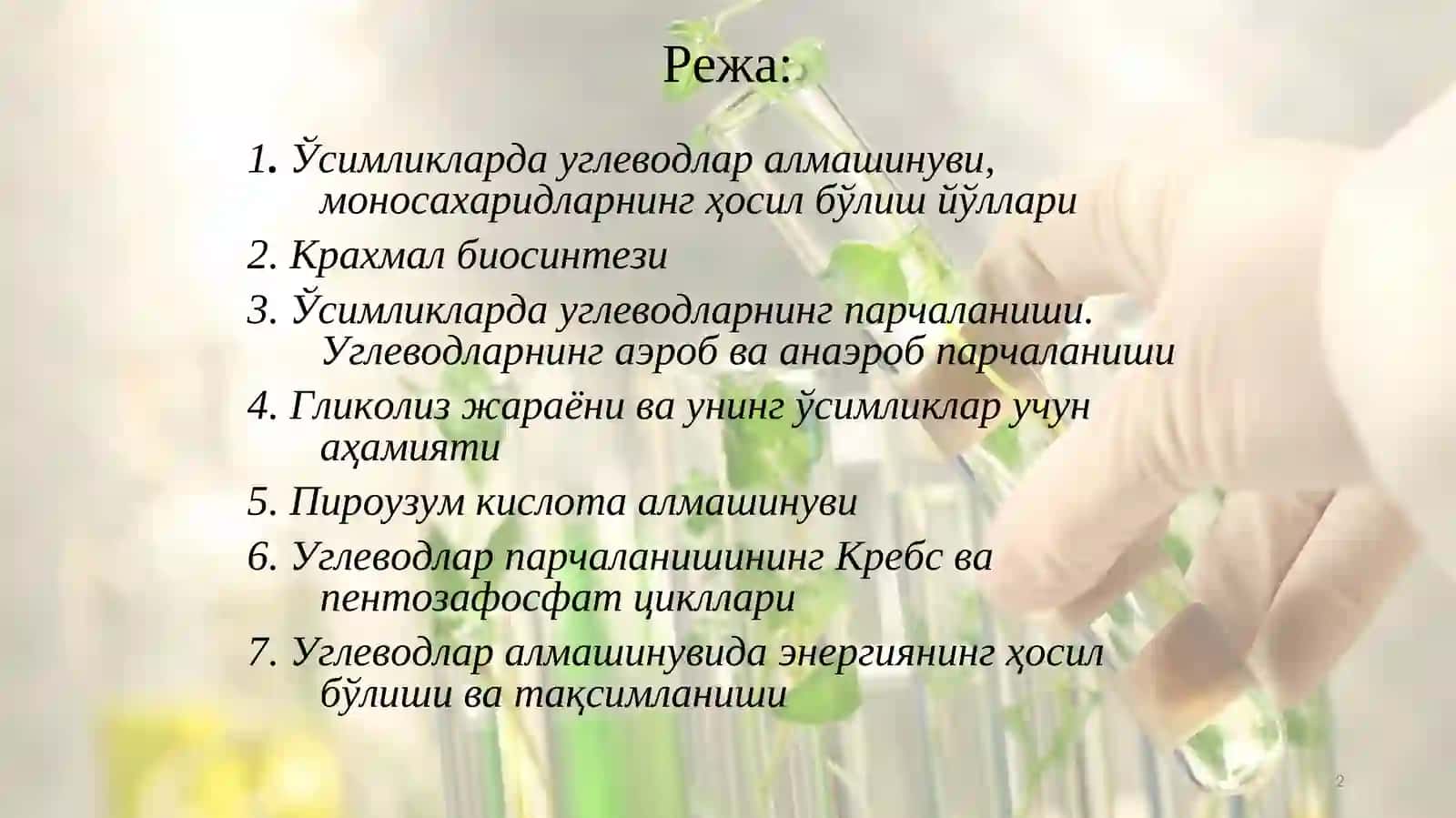 Углеводларнинг ҳосил бўлиши ва парчаланиши 2