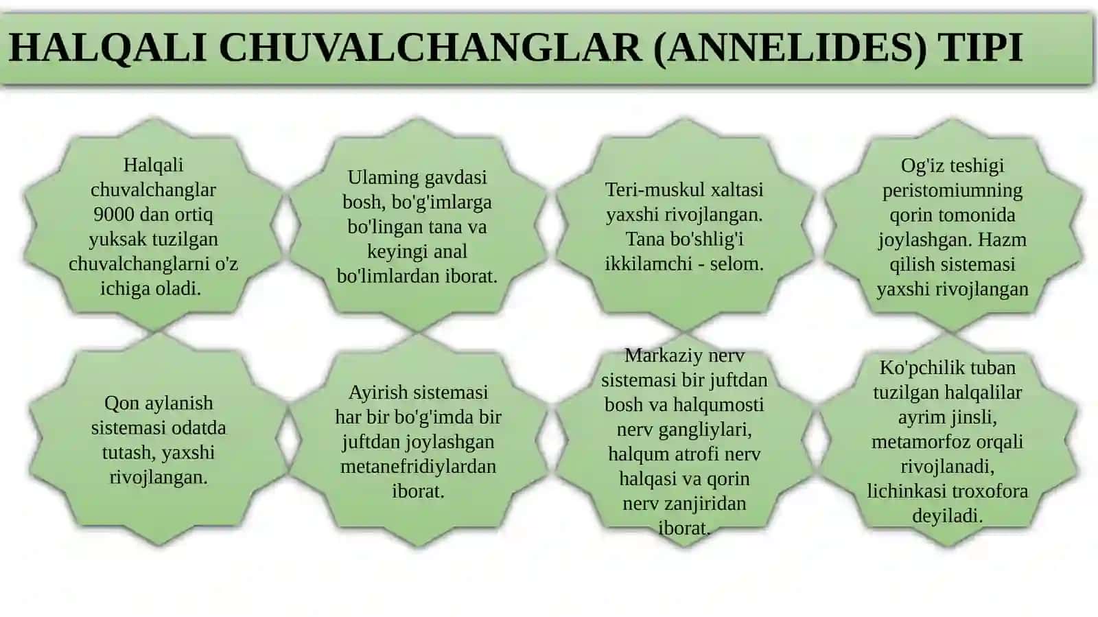 HALQALI CHUVALCHANGLAR (ANNELIDA) TIPI 2