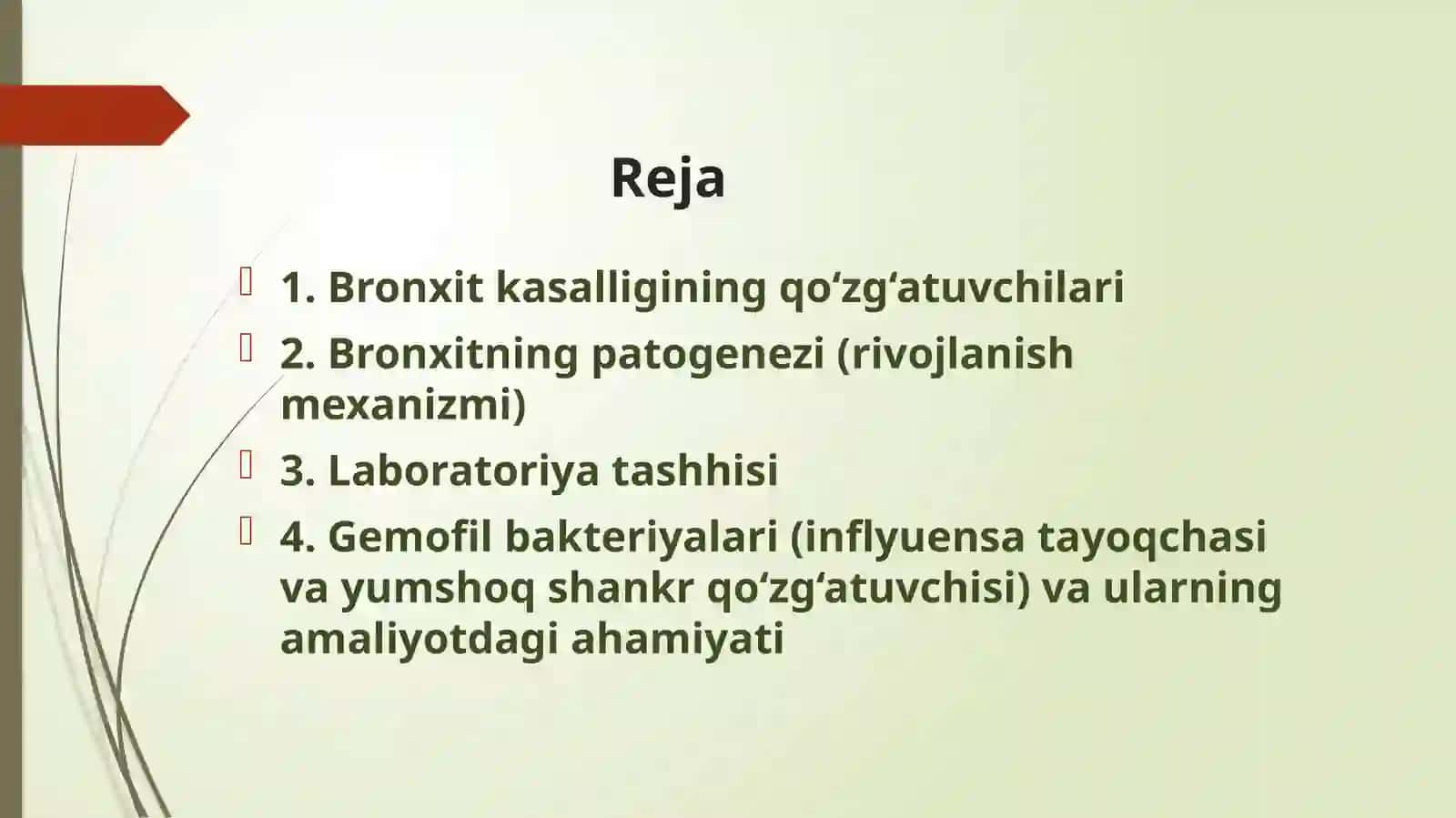 Ablaizova Hafiza 2