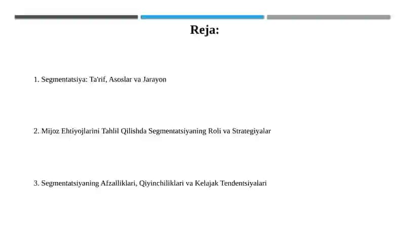 Segmentatsiya: Ta'rif, Asoslar va Jarayon 2
