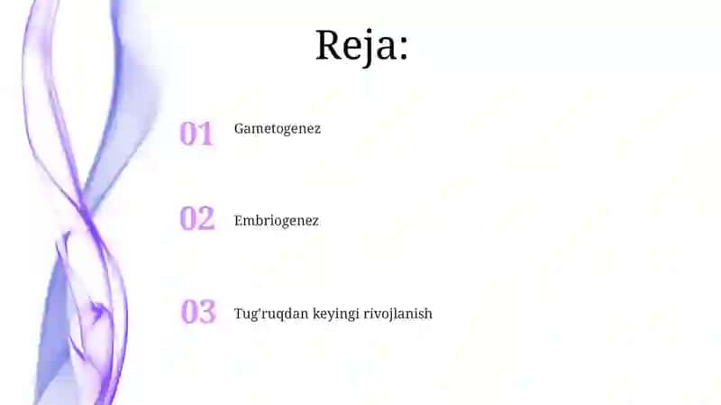 Hujayra ontogenezing rivojlanish bosqichlari 2