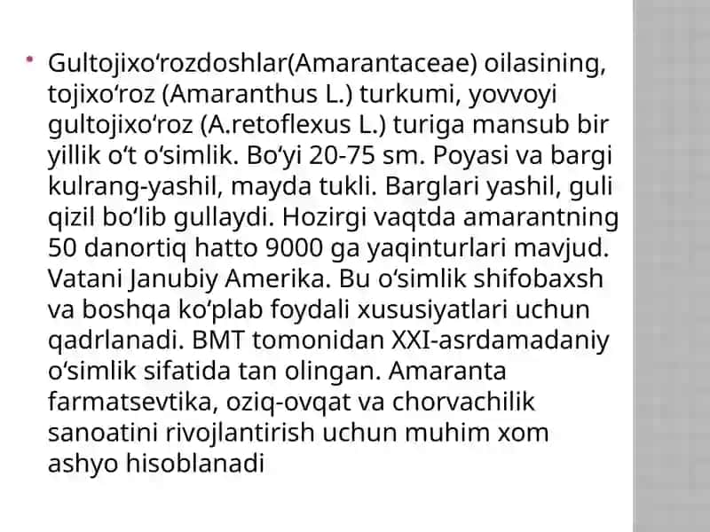 Gultojixo’rozdoshlar oilasi 2