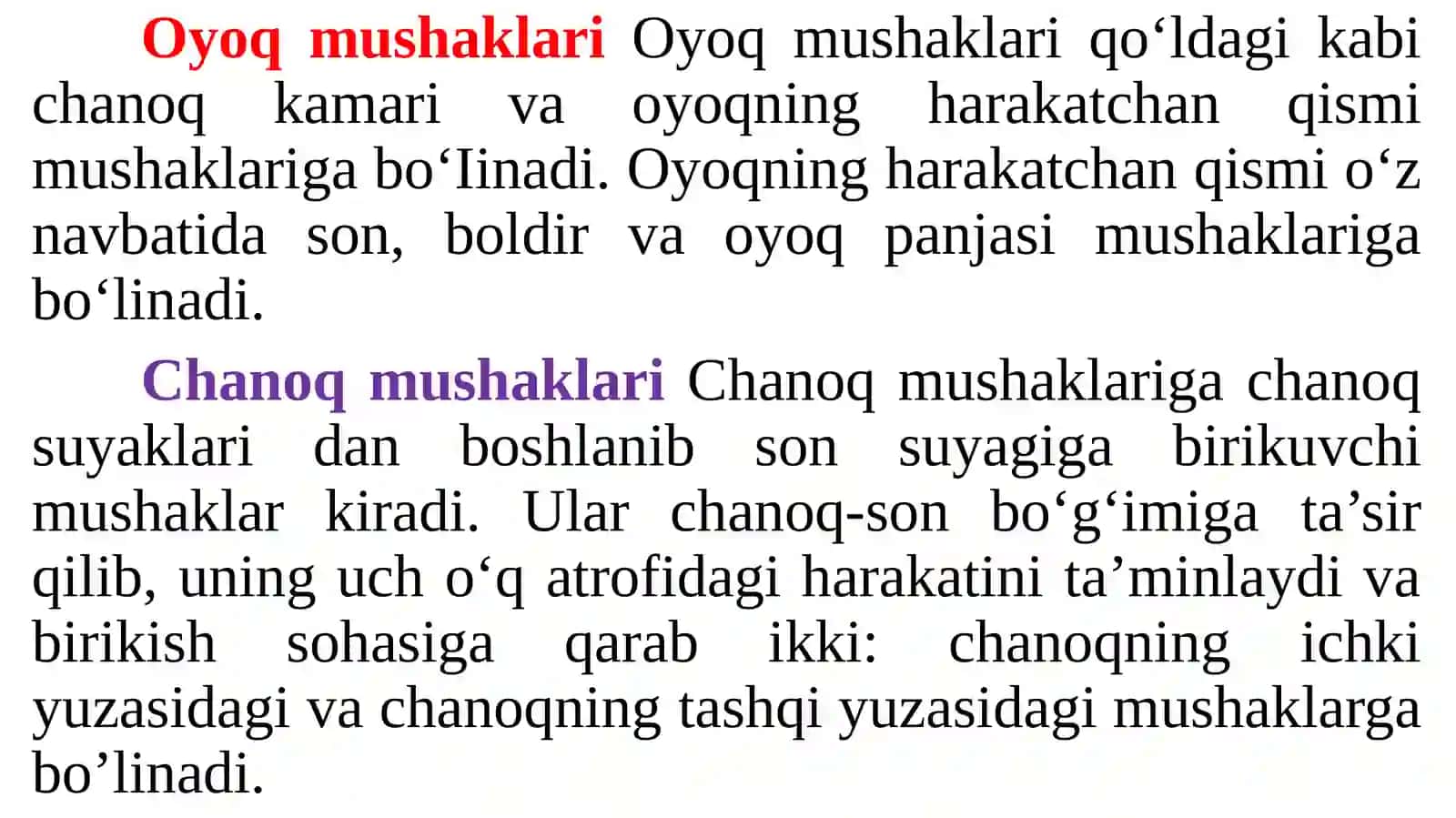Chanoq va oyoq mushaklari 2