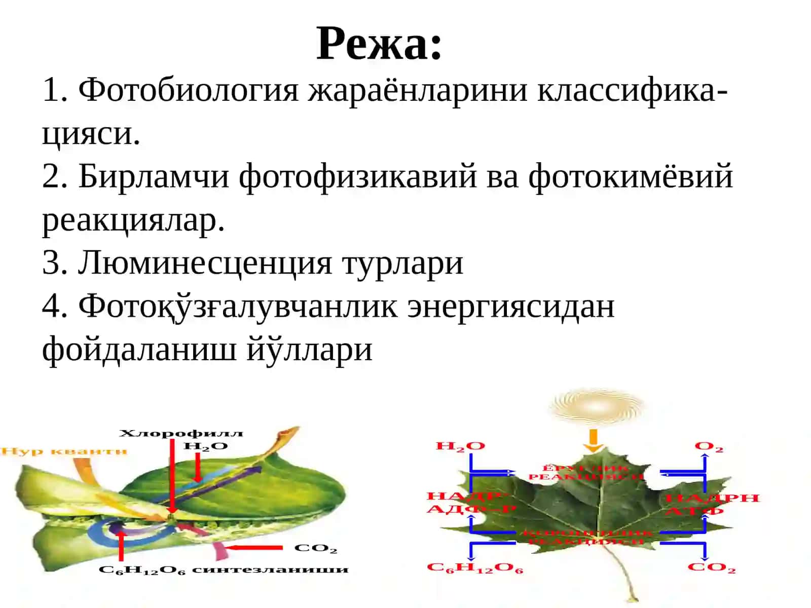 Фотобиология муаммолари 2