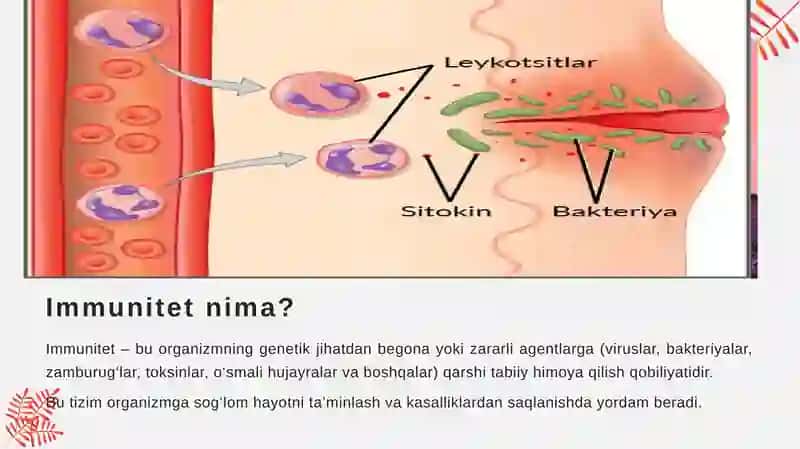 Immun reaksiyalarining turlari (tugma va adaptativ), Antigen va antitela 2