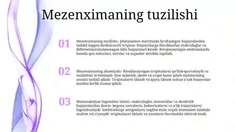 Mezenximaning Tuzilishi Va Ahamiyati 2