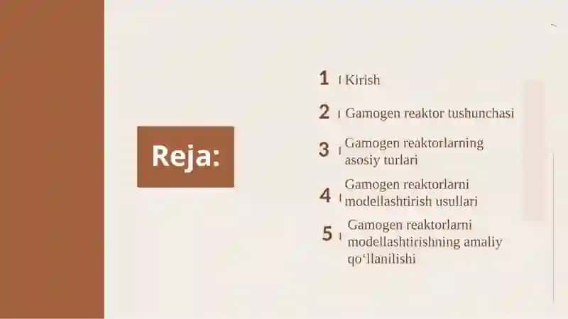 GAMOGEN KIMYOVIY REAKTORLARNI MODELLASHTIRISH 2