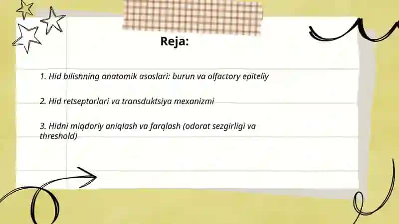 Sezgilarning ayrim turlari 2