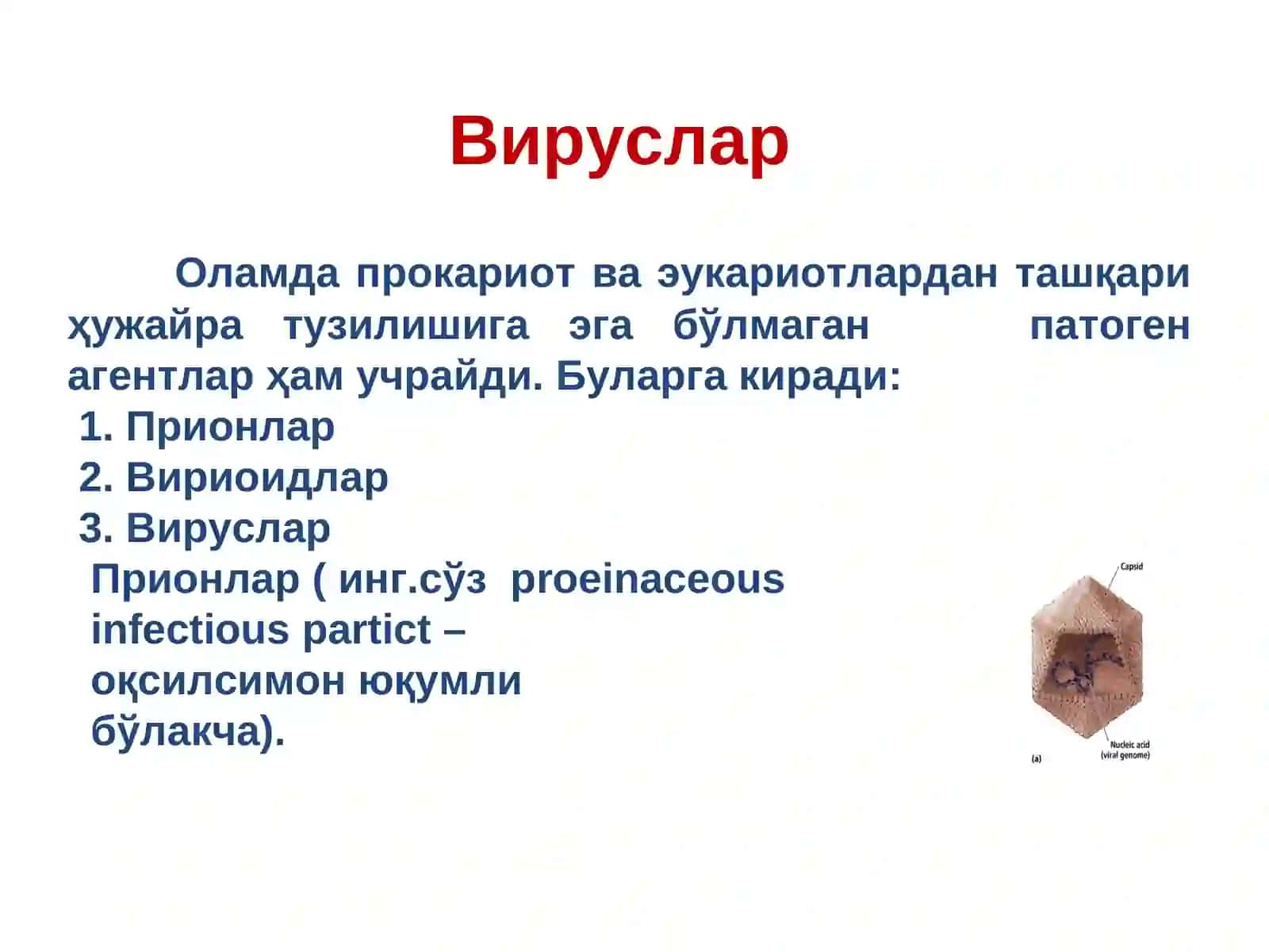 Умумий вирусология 2