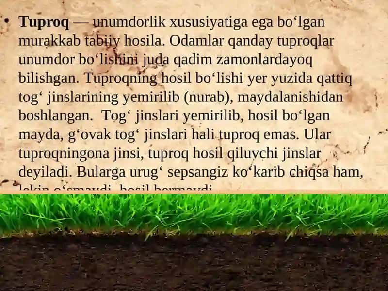 Тuproqlar haqida tushuncha 2